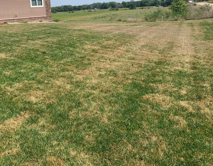 A lawn with brown and green patches needing care from Total Turf Care in Hastings, NE.