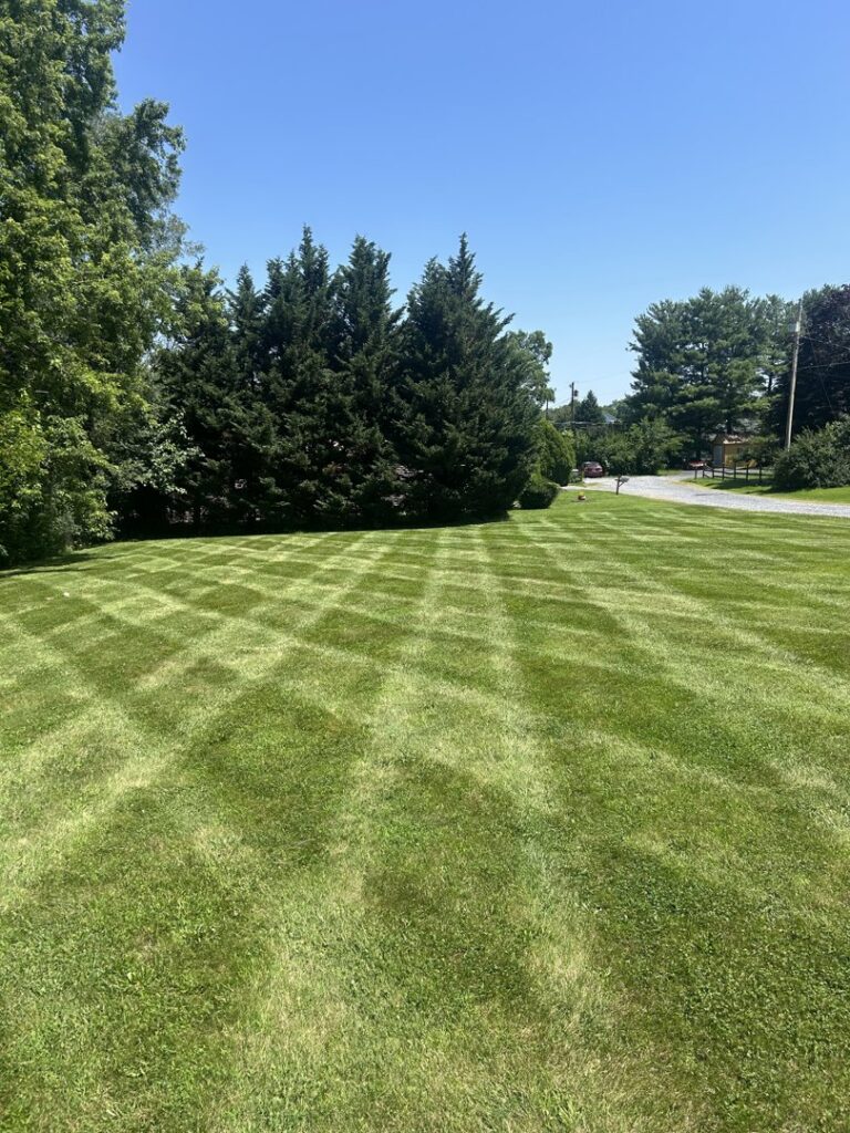 A residential lawn featuring an intricate cross-hatch mowing pattern, expertly done by Neace's Lawn Care LLC in Martinsburg, WV.