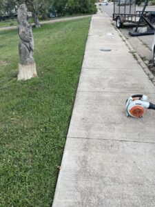 A leaf blower resting on a sidewalk next to a lawn, ready for cleanup by Matt's Lawn Service in Casper, WY.