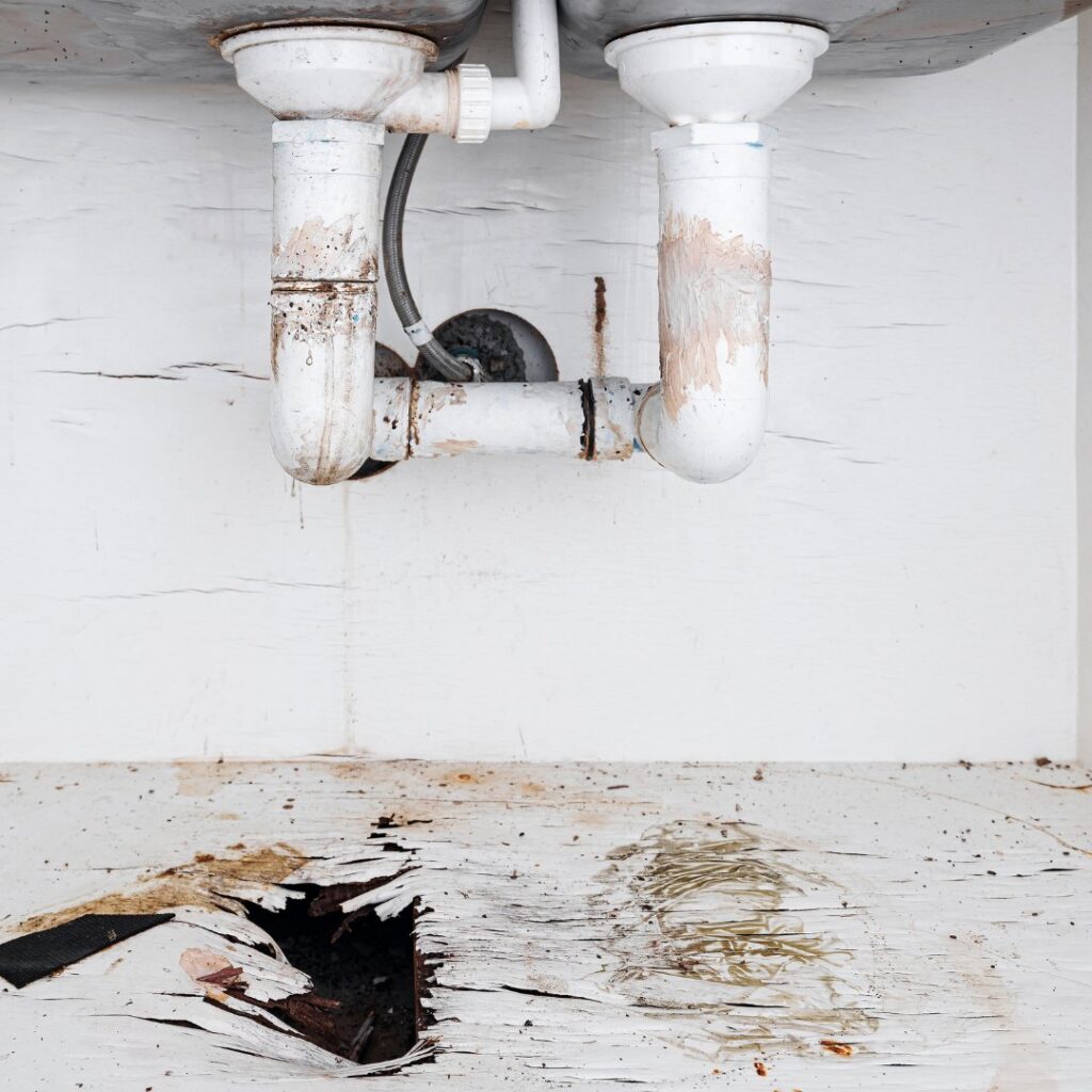 Leaky sink pipe causing water damage and rotting wood in a cabinet, addressed by Built Different Restoration in Gilbert, AZ.