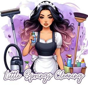 Little Springs Cleaning