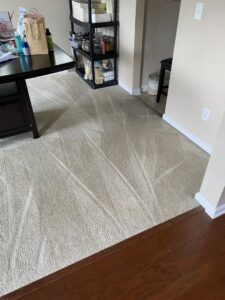 A living room carpet freshly vacuumed with clear lines by Five Star Cleaning Service in Pasadena, MD.