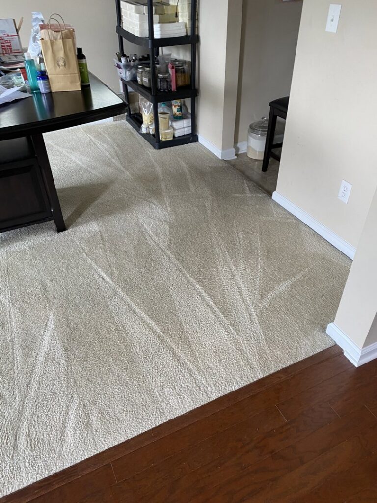 A living room carpet freshly vacuumed with clear lines by Five Star Cleaning Service in Pasadena, MD.
