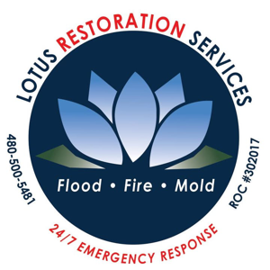 Lotus Restoration Services