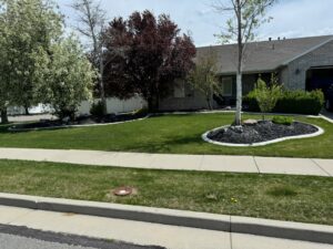 A lush green front yard with a manicured lawn and mulched garden beds by Lakeside Lawn Care in Sanford, NC.