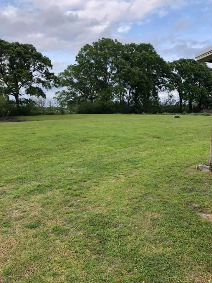 A wide, lush green lawn with mature trees in the background, maintained by Lee's Lawn Care Services, LLC in Hattiesburg, MS.