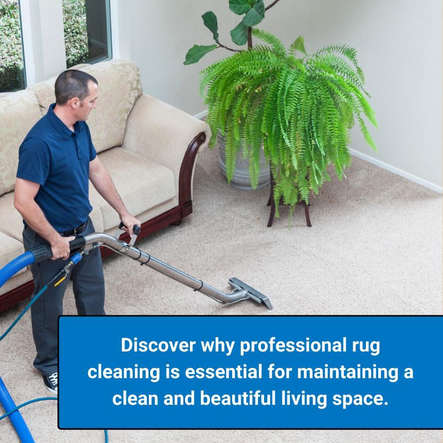 A man performing professional carpet cleaning in a living room for Commercial And Residential Cleaning Pro in Albany, NY.