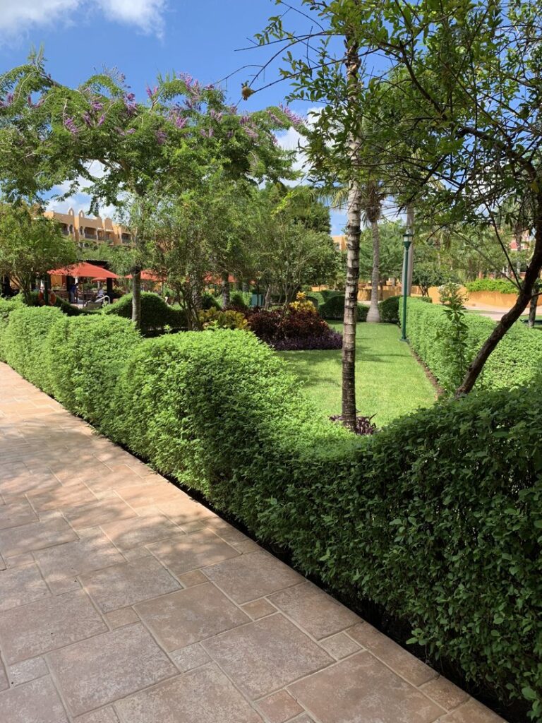 A beautifully manicured garden with trimmed hedges and a green lawn by Green Thumb Lawn Care & Maintenance, LLC in Rio Rancho, NM.