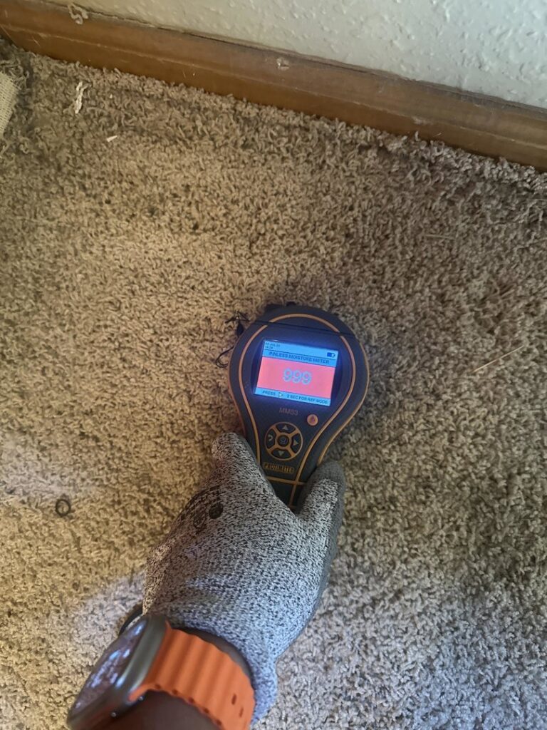 A technician using a moisture meter to detect water saturation in a carpet, performed by Elements of Restoration in Denver, CO.