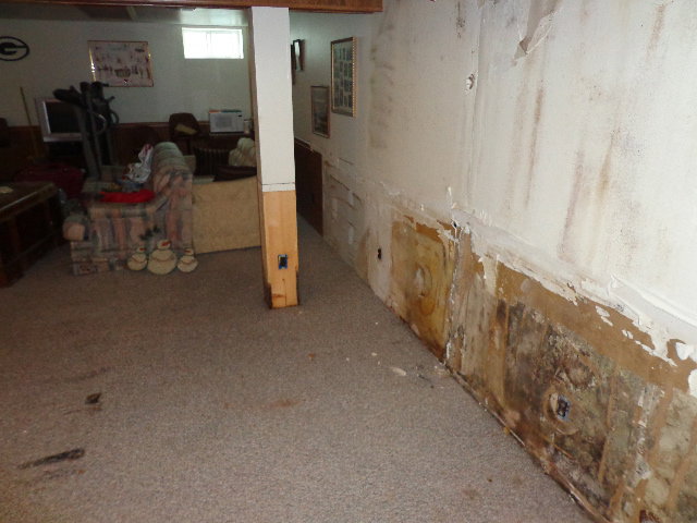 Severely mold and water damaged basement walls with peeling paint and discoloration, handled by Elite Restoration LLC in Puyallup, WA.