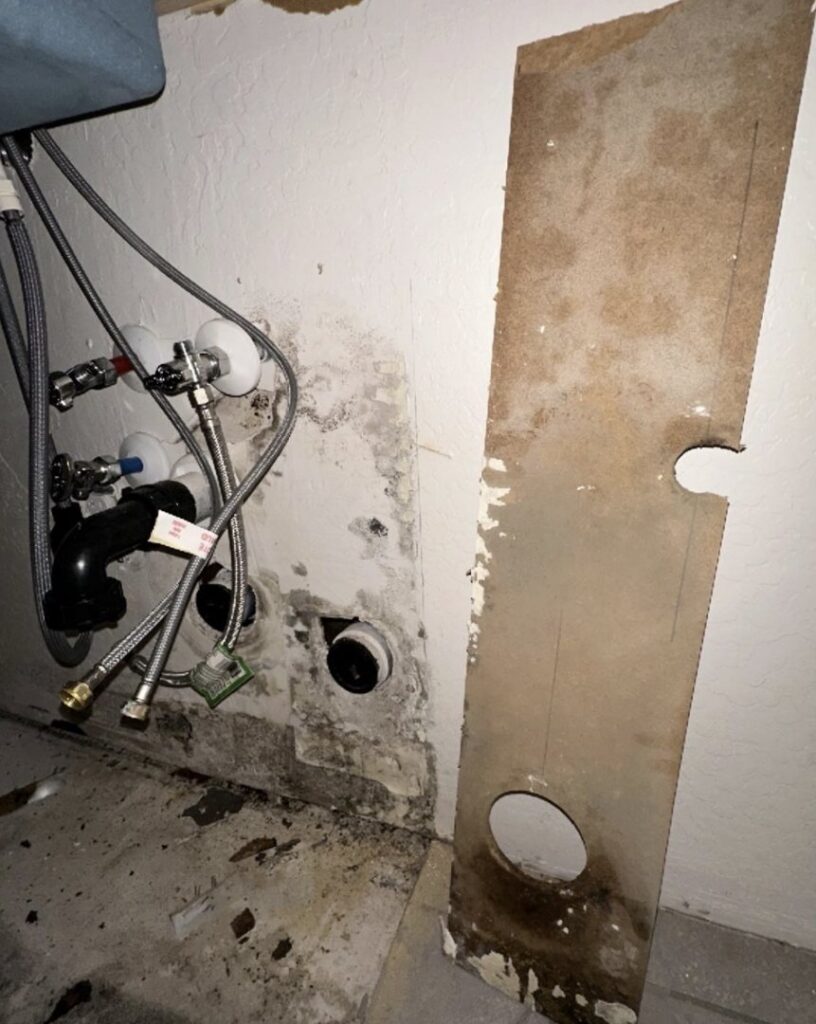 Mold growth on a wall behind plumbing fixtures, indicating water damage remediation by Built Different Restoration in Gilbert, AZ.