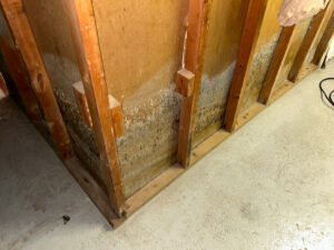 Visible mold growth on exposed wall studs, indicating water damage, handled by Doctor Fix-It in Denver, CO.