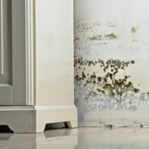 Significant mold growth on a wall next to a cabinet, indicating water damage that requires remediation by Rainbow Restoration of the Capital Region in Clifton Park, NY
