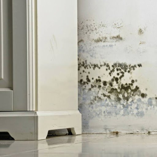 Significant mold growth on a wall next to a cabinet, indicating water damage that requires remediation by Rainbow Restoration of the Capital Region in Clifton Park, NY