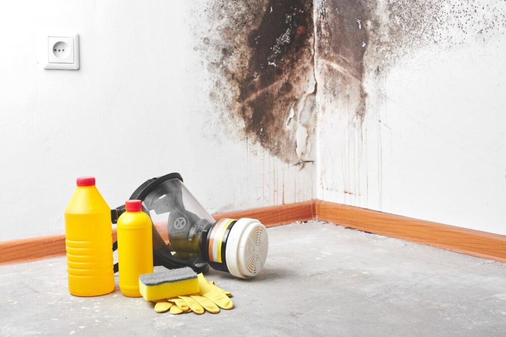 Severe mold growth on a wall with remediation equipment on the floor, indicating a water damage aftermath job for Rescue One Restoration in Honolulu, HI.