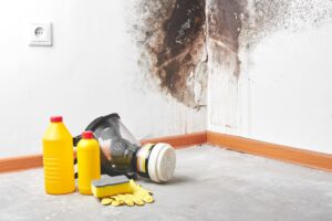 Severe mold growth on a wall with remediation equipment on the floor, indicating a water damage aftermath job for Rescue One Restoration in Honolulu, HI.