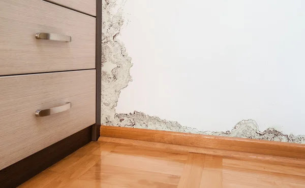 Significant mold growth on a white wall, indicating water damage that Flood Pros in Sandy, UT can remediate.