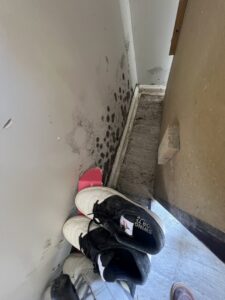 Significant mold growth on a wall near the floor, indicating water damage requiring remediation by Sentry Restoration in Volo, IL