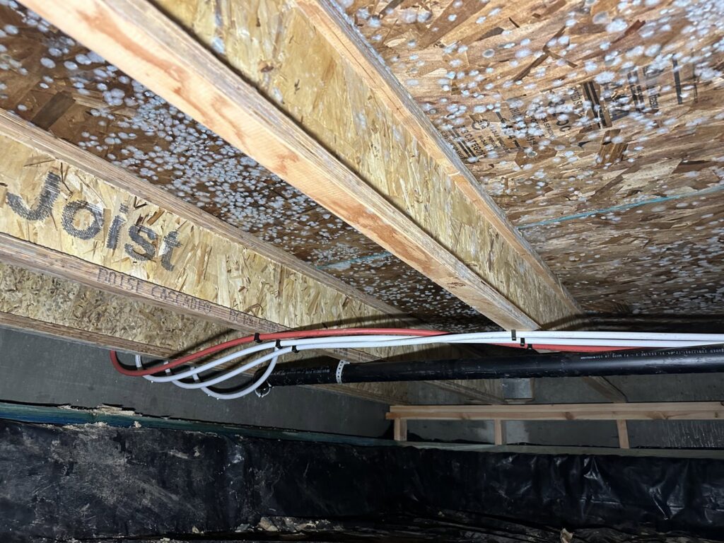 Close-up of mold growth on a wooden subfloor indicating water damage, addressed by Restorex in Petaluma, CA.