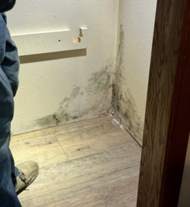 Extensive mold growth on a wall corner, a common sign of water damage, handled by Dakota Fire and Water Restoration in Bismarck, ND.