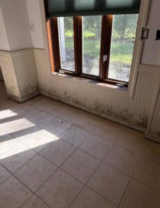 Mold growth visible on the lower sections of walls and baseboards near a window, indicating water damage, by PuroClean of Hilton Head in Bluffton, SC.