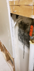 Mold growth on a wall behind removed drywall from water damage, remediated by AllStar Response in Manhattan, KS