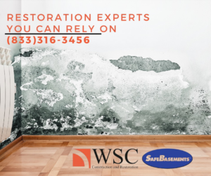 Severe mold growth and peeling paint on a wall, indicating water damage, by WSC Construction and Restoration in Canton, OH