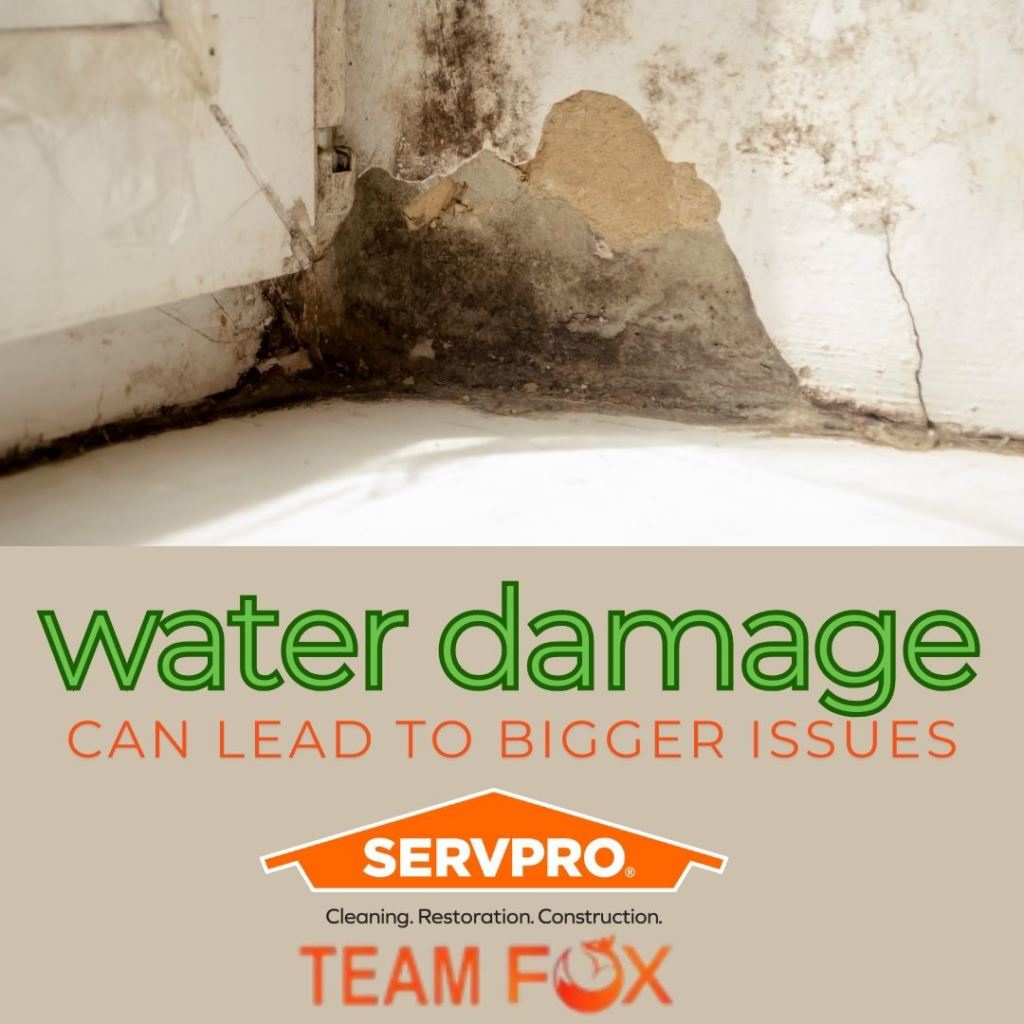 Mold and peeling paint on a wall, indicating water damage, addressed by Servpro South Jersey City Bayonne in Jersey City, NJ.