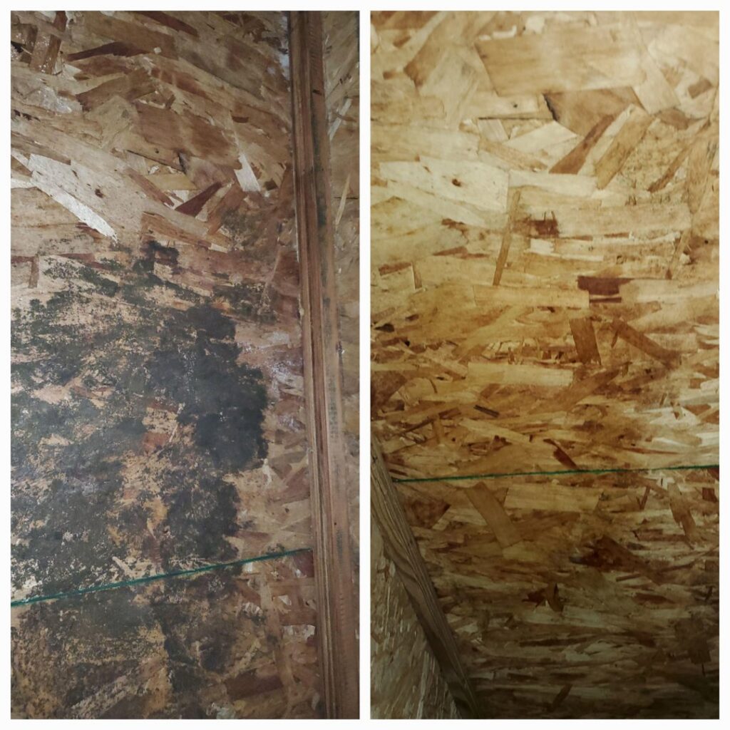 Before and after mold remediation on OSB, showing successful cleanup by Brothers Restoration in Post Falls, ID.