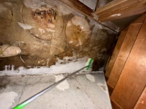 A technician cleaning a moldy wooden surface during water damage remediation by Utah Flood Guys in Sandy, UT.