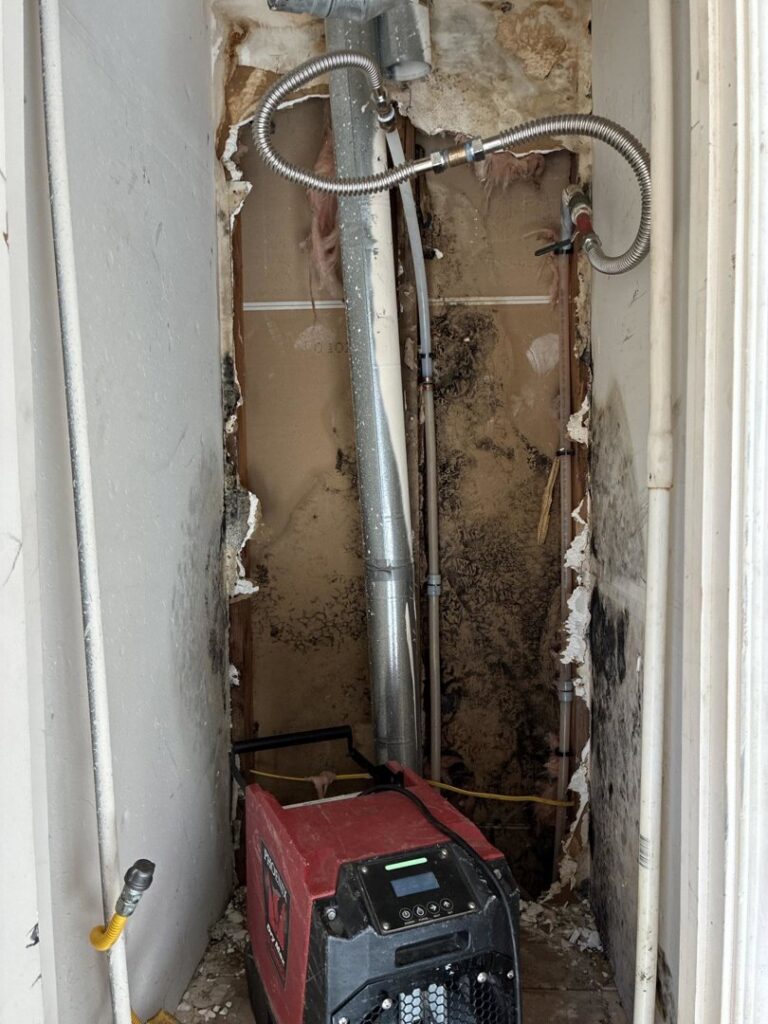 Significant mold growth and a dehumidifier in a utility closet, indicating water damage and mold remediation by TriForce Restoration in Moore, OK.
