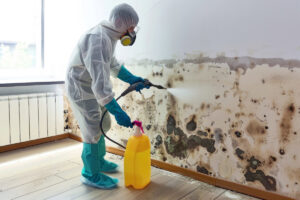 A mold remediation specialist in a hazmat suit spraying a mold-covered wall, a service provided by Certified Restoration in San Diego, CA
