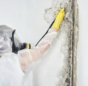 A technician spraying a moldy wall during mold remediation after water damage by Verg Restoration in Vancouver, WA