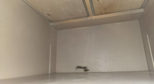 A dark mold stain visible inside a cabinet, indicating water damage, addressed by ABS Restoration Services, Inc. in North Little Rock, AR