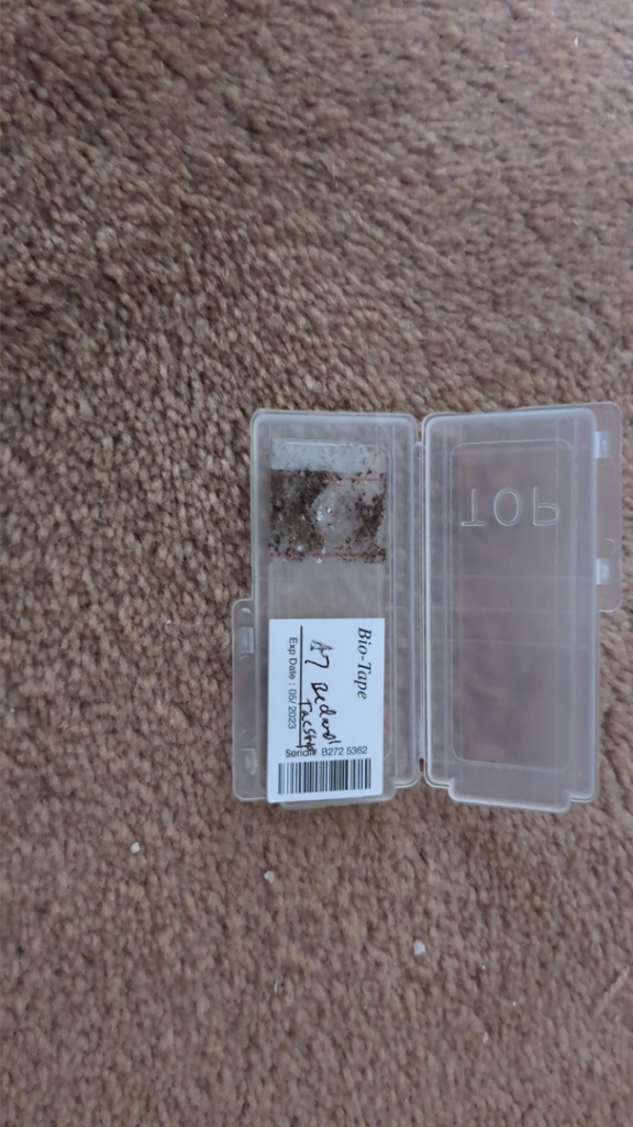 A mold surface sample collected on bio-tape for testing by Peak Home Pro Restoration in Clovis, NM.