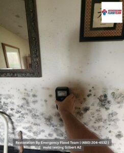 A technician using a moisture meter to test for mold on a wall, a service provided by Emergency Flood Team in Gilbert, AZ