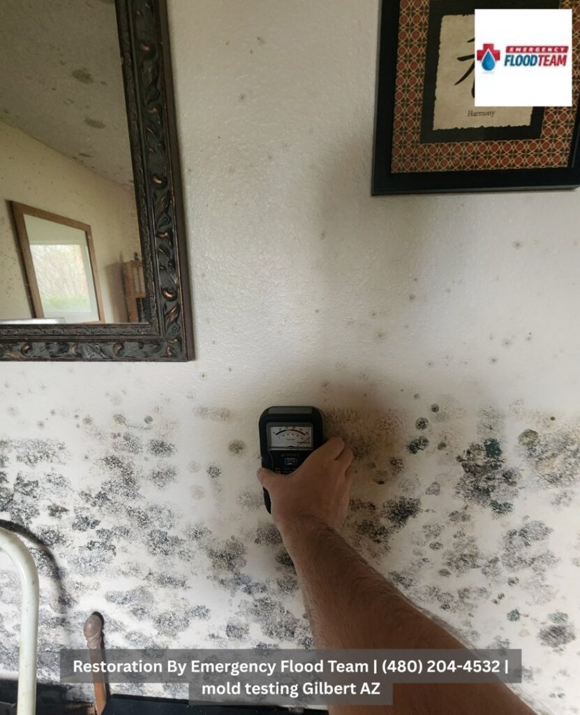 A technician using a moisture meter to test for mold on a wall, a service provided by Emergency Flood Team in Gilbert, AZ