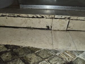 Close-up of mold and water damage on bathroom floor tiles being remediated by Risk Free Serv Water Damage Repair San Diego, CA