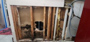 Visible mold and water damage on an exposed wall during remediation by OKSR - Property Restoration Services in Oklahoma City, OK.