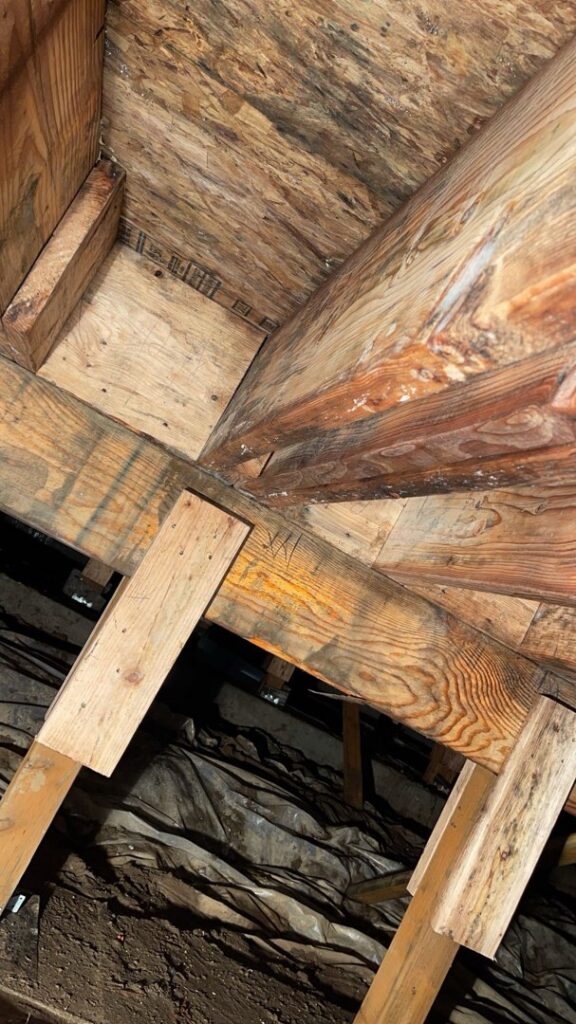 Extensive mold growth on attic sheathing from water damage, addressed by Quality Remediation llc in Everett, WA
