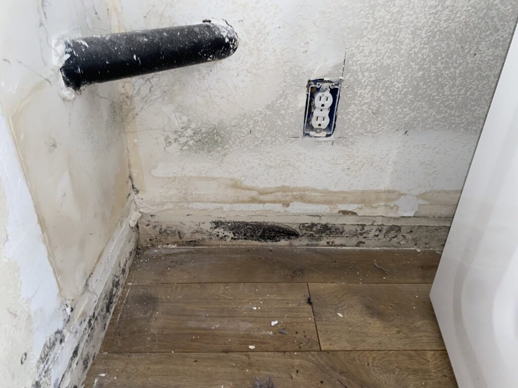 Moldy baseboard and water-stained wooden floor from a leak, remediated by Quality Remediation llc in Everett, WA