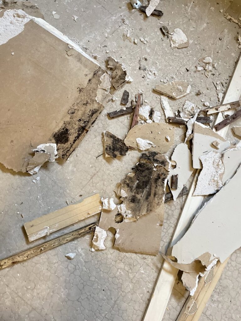 Moldy drywall and construction debris on a floor, indicating active water damage remediation by Quality Remediation llc in Everett, WA.