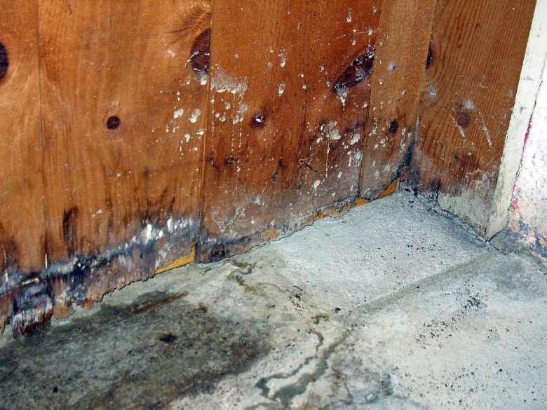 A close-up of a moldy and water-damaged wooden wall with water lines on the concrete floor, handled by Royal Restoration in Enid, OK.