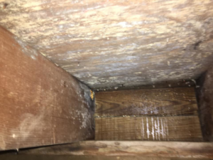 Close-up of moldy and water-damaged wooden beams in a structure, expertly handled by Major Damage in Bentonville, AR.