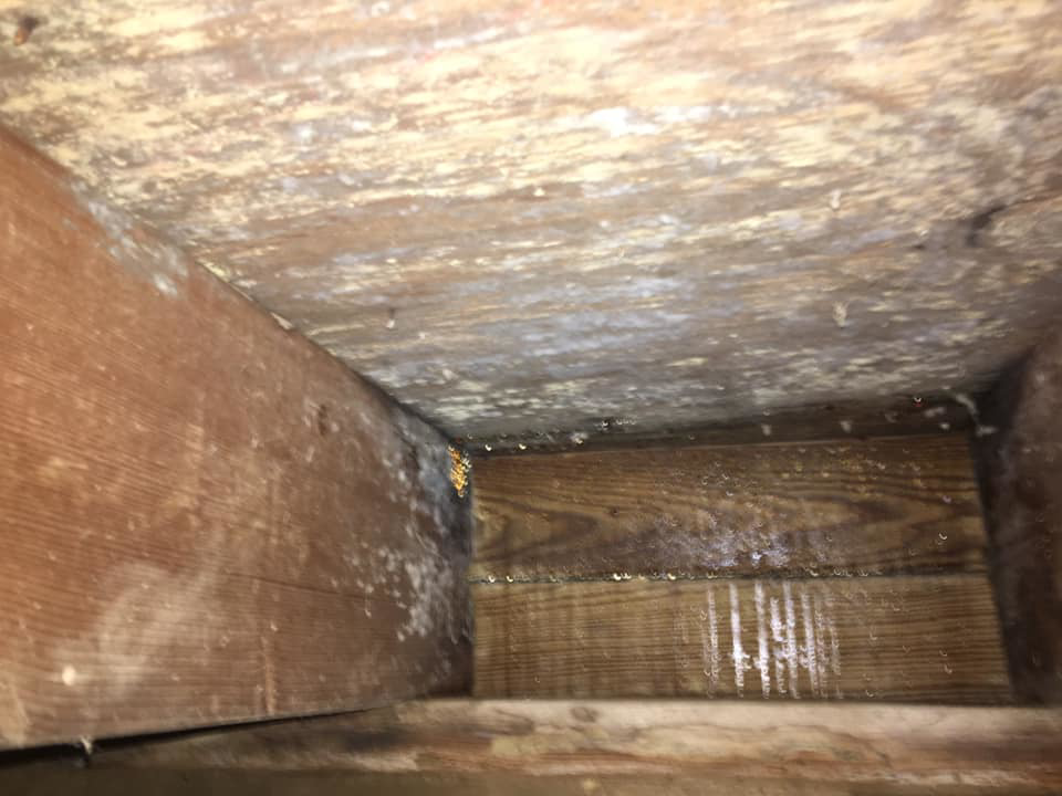 Close-up of moldy and water-damaged wooden beams in a structure, expertly handled by Major Damage in Bentonville, AR.