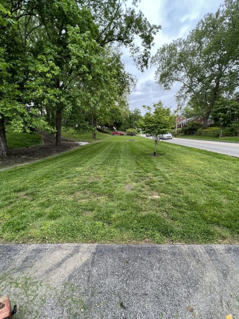 A well-maintained lawn mowed along a residential street, showcasing the services of Ripley's Lawn Care, LLC in Charleston, WV.