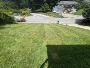 A freshly mowed lawn with distinct stripes, showcasing professional lawn care by Ripley's Lawn Care, LLC in Charleston, WV.