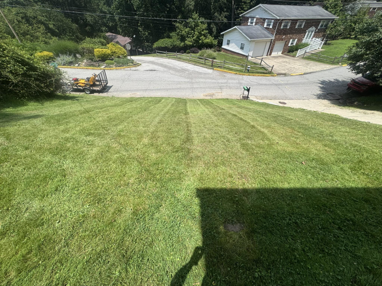 A freshly mowed lawn with distinct stripes, showcasing professional lawn care by Ripley's Lawn Care, LLC in Charleston, WV.