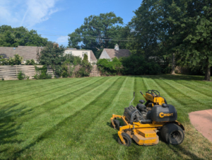 A perfectly mowed lawn with distinct stripes and a professional zero-turn mower by Reese Lawn Care LLC in Baldwin City, KS.