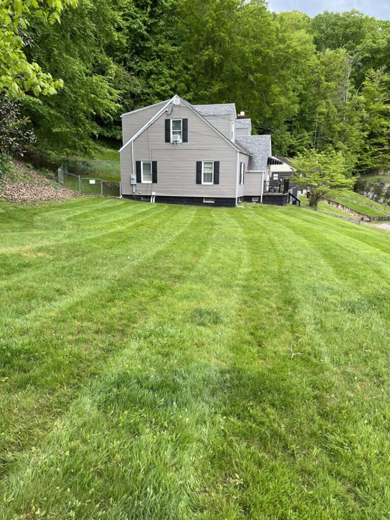A neatly mowed sloped lawn surrounding a residential house, showcasing the work of Ripley's Lawn Care, LLC in Charleston, WV.